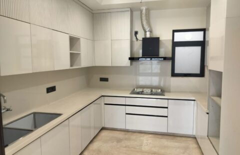 3 BHK | DLF Phase 2 | 300 Sq. Yds